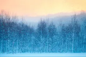 疫情期间员工工资发放和年假安排的相关规定图片