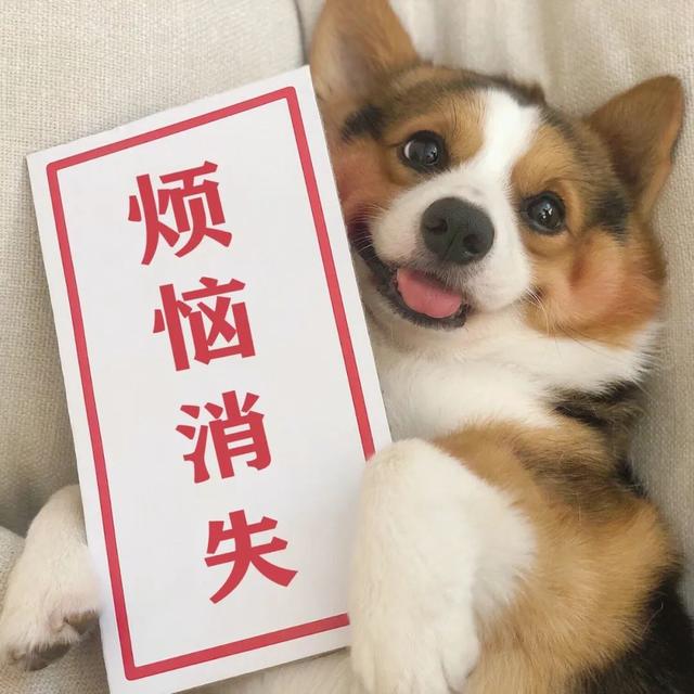 ������Ȧ�Ź����ز� | ����Ȧ����ͼ