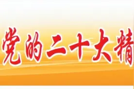 【我（们）怎样学习好、落实好党的二十大精神】用好“五视”学习法图片