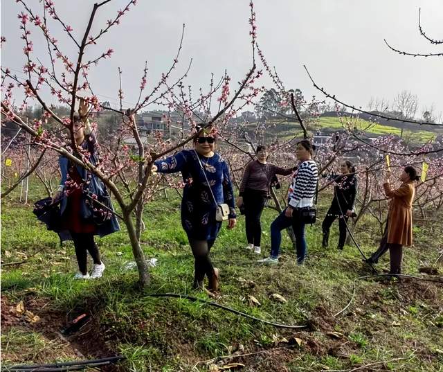 四川省民生研究会新媒体中心-官网