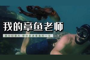 章鱼老师的生存之道:随遇而安，自我疗愈，归于平寂图