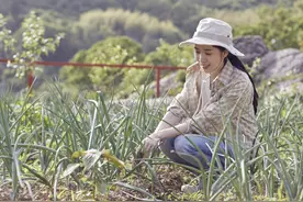 这三样东西，不是肥也不是药，但喷在蔬菜上有奇效，各家厨房都有图片