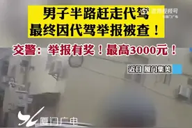 厦门一男子醉驾赶走代驾后被代驾举报图片