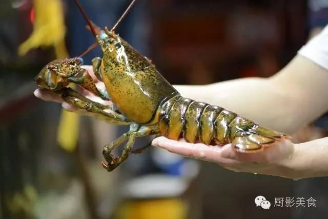 40头的花胶是几级 2025年花胶40头是什么意思?