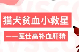 医仕高补血肝精—猫犬贫血小救星图片