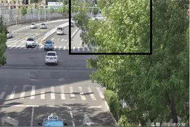 河东区30余条道路“遮挡信号”植物被修剪图片