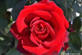 29岁的一次相亲，聊到生育话题，他的一番话让我决定和他交往图片