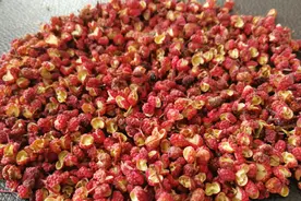 想做川菜，你一定要了解的调料——花椒图片