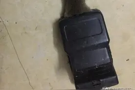 捕捉老鼠神器图片