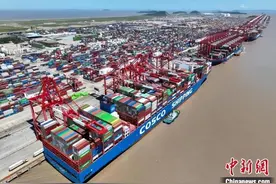 “10斤起步”、“免费装箱”……海运价格跌至年内新低图片