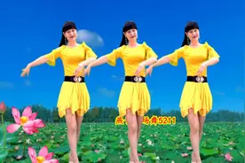 DJ广场舞《谁饮情酒谁醉》《伤不起》《男人的诱惑》《荷塘月色》图片