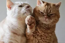 一段关系是如何破裂的？9个征兆需要关注图片