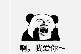 70张又好用又搞笑的表白表情包图片