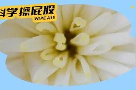 怎样正确擦屁股？好多人第一点就错了……图片