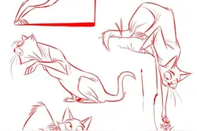 都是干货，猫咪线稿资料图，收藏备用图片
