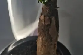 分享几次与飞机有关的经历，有艳遇，有危险，有惊喜图片