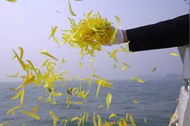 想要海葬，拢共分几步？私自海葬是否会污染环境图片