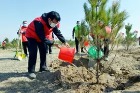宣化区组织开展区直机关干部义务植树活动图片