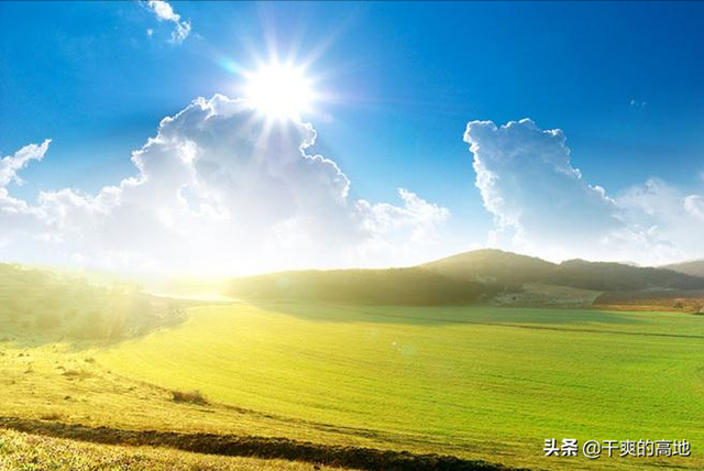 散文丨格 致：爱情故事