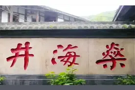 1835年，几个四川农民花了13年，凿成燊海井，井深1001.4米图片