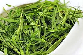 每日一药之竹叶图片