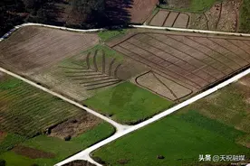 农村土地改革政策已定，农民注意“一动、一不动”，怎么回事？图片