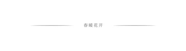 陈春花：与管理者分享5个小故事