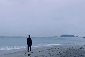 看了《新版龟兔赛跑》才明白，人性最大的愚蠢，是互相为难图片
