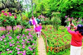 “五一”桂林市区公园景区活动多多等你来图片