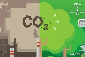 【名词概念】什么是碳中和、碳达峰、碳汇、碳配额、碳交易，CCUS、CCER，你都懂吗？图片
