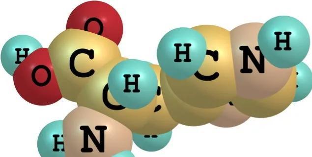 细说18种氨基酸在植物体内的作用