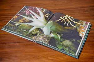 悦读 | 这部宛如爱情电影一般的自然纪录片竟然也出书了——图