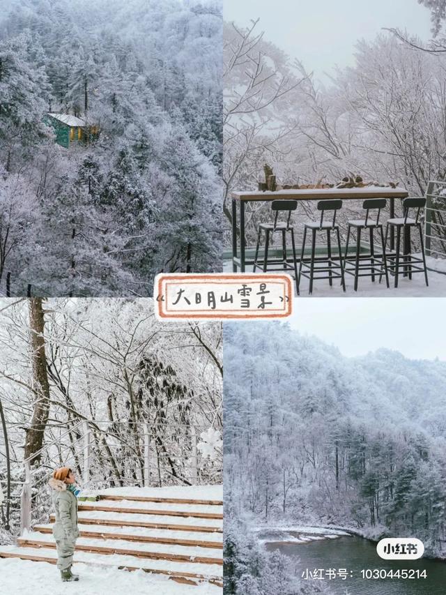 情人节攻略,还能脱单?做冰墩墩,滑雪,livehouse这太浪漫了