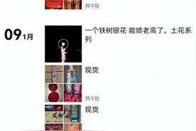 【普法贴士】@所有人！朋友圈里卖烟花可能违法图片