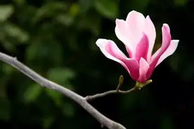 领读《中国古代寓言故事》图片