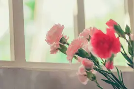 放下一个人最好的方式：见一见图片