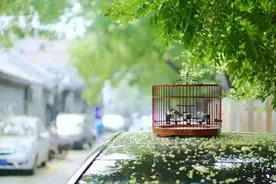 北京这几条网红胡同的历史，你都了解吗？图片