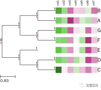 ETE构建、绘制进化树