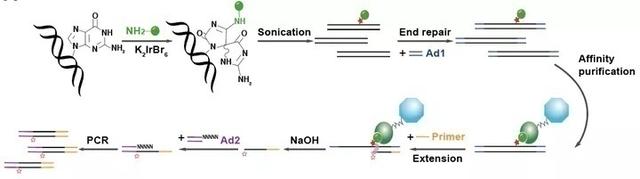 复旦上医11月科研成果一览