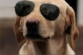 笑话幽默（一）图片