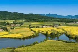 5月1日起：农村彩钢瓦房“全面拆除”？不属实！警惕3大风险！图片