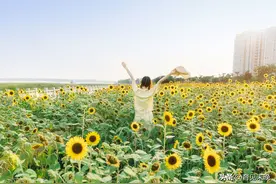 《如何写好记叙文？》02：记叙文的基本特点图片