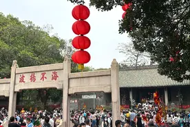 “五子朝王”仪式上演！3日共计22万人打卡“波罗诞”图片