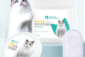 宠物洁牙湿巾有用吗图片