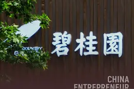 杨惠妍“首秀”：碧桂园不是家族企业，我是职业经理人图片