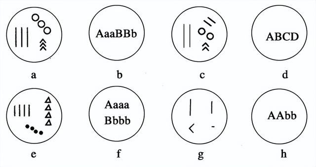 高中生物-变异育种及进化