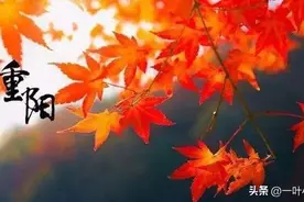 九月初九重阳节，是登高祈福的时节，重阳节定位老年节的社会意义图片