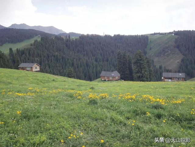 一万泉美景