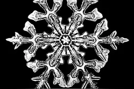 为啥雪花长这样？图片