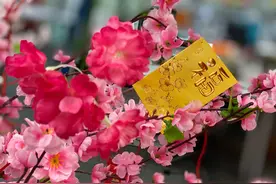 原来，真心爱上一个人，是这种感觉图片